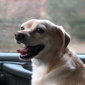 Meet your Posher, Juan